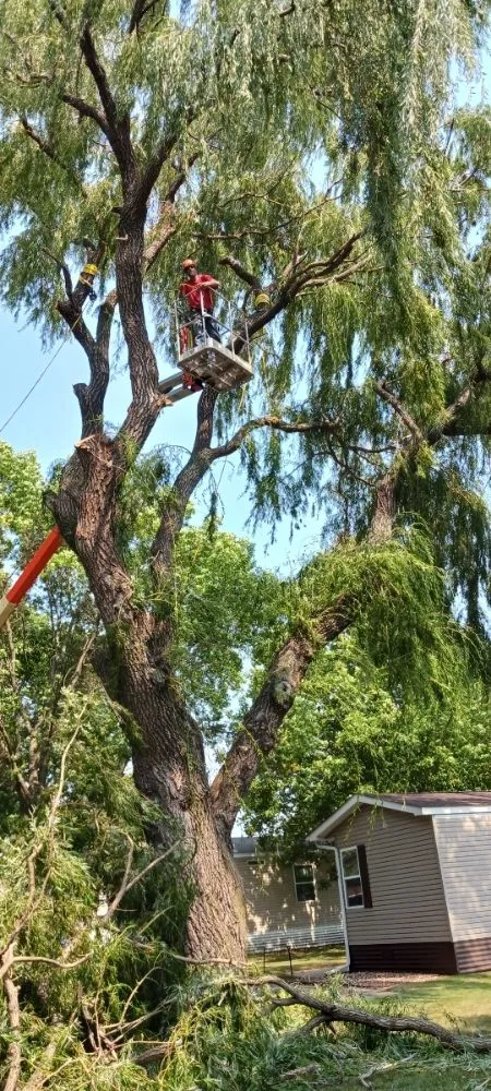 Professional outdoor landscaping in Hillman, MN - Kennedy Clean-Up Service