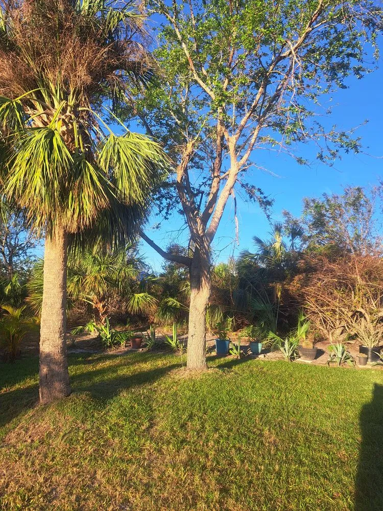 Professional yard maintenance for outdoor upgrades in Hillman, MN by Kennedy Clean-Up Service