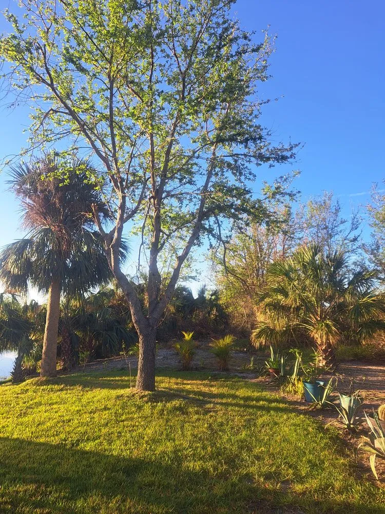 Affordable outdoor landscaping near you across Hillman, MN - Kennedy Clean-Up Service