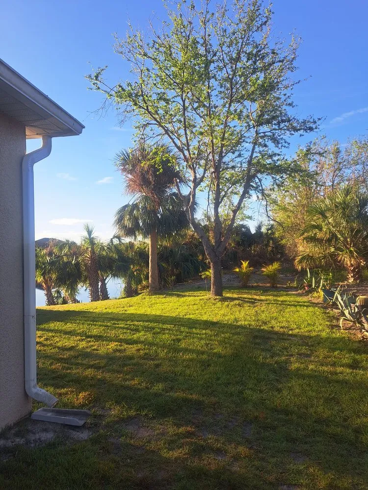 Expert lawn care service in Hillman, MN - Kennedy Clean-Up Service