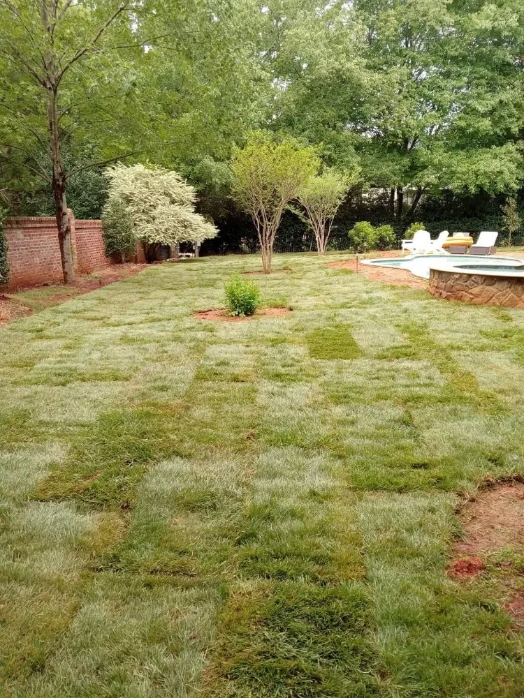 Reliable residential landscaping for residential properties across Longs, SC - Kennedy Coastal Landscape