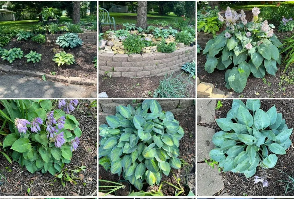 Reliable residential landscaping in Middleton, WI - Kennedy Custom Services