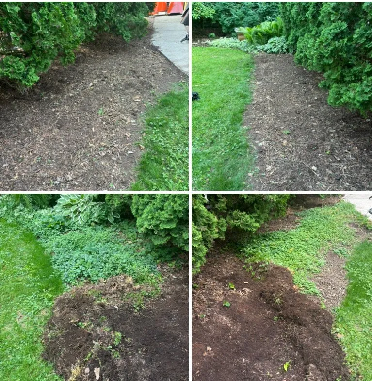 Expert landscape installation with custom design across Middleton, WI - Kennedy Custom Services