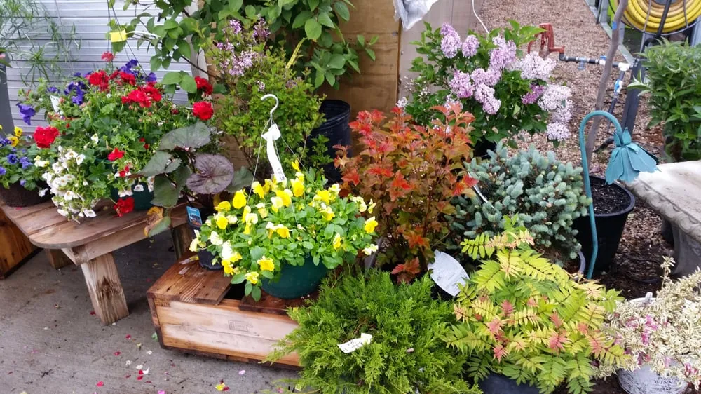 Reliable yard cleanup service with custom design across Gothenburg, NE - Kennedy Landscape Services