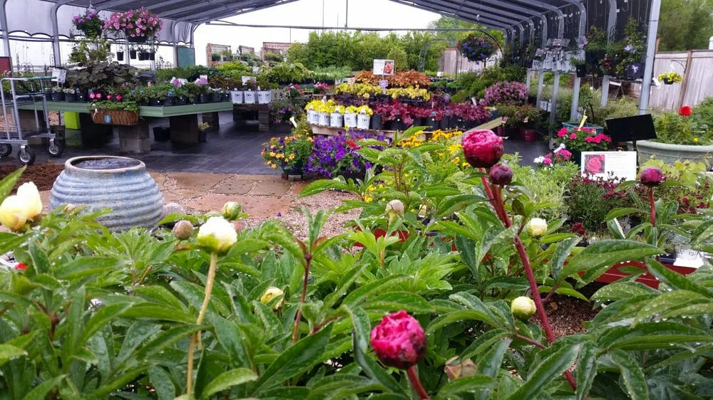 Expert lawn care service with custom design in Gothenburg, NE by Kennedy Landscape Services