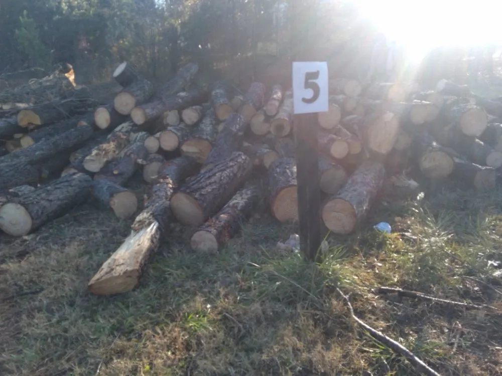 Reliable residential landscaping near you in Loganville, GA by Kennedy Landscape Services