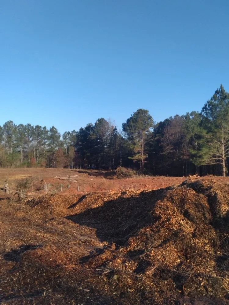 Professional landscape design experts serving Loganville, GA - Kennedy Landscape Services