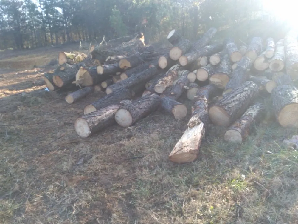 Affordable landscape installation experts serving Loganville, GA - Kennedy Landscape Services