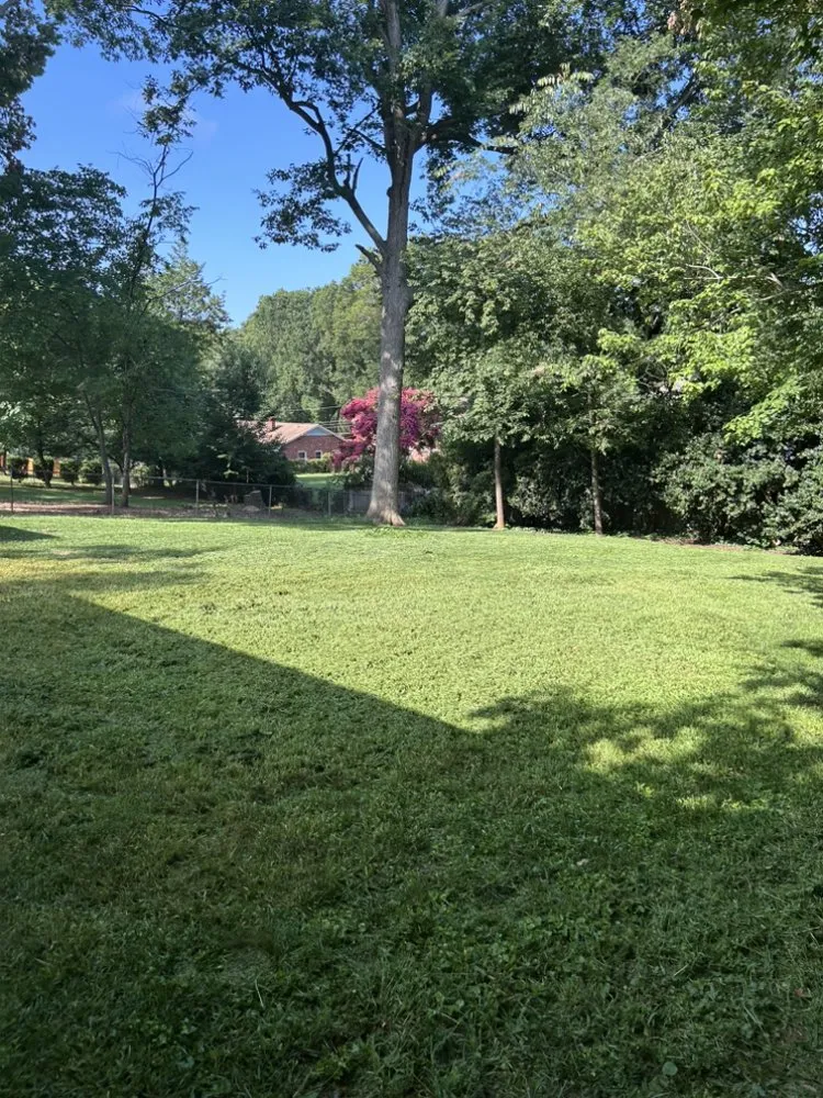 Trusted garden landscaping in Yadkinville, NC - Kennedy Landscapes