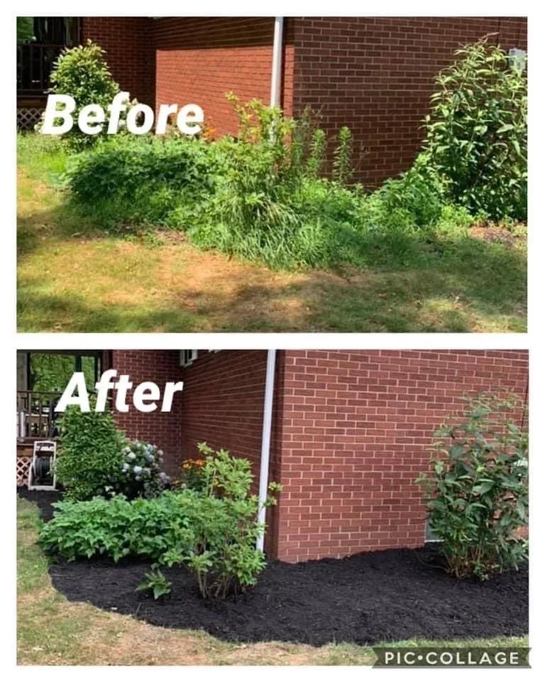 Reliable yard cleanup service in Girard, OH by Kennedy Landscaping & Lawn Care