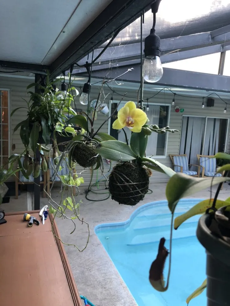 Custom garden landscaping for homes across Ormond Beach, FL - Kennedy Landscaping