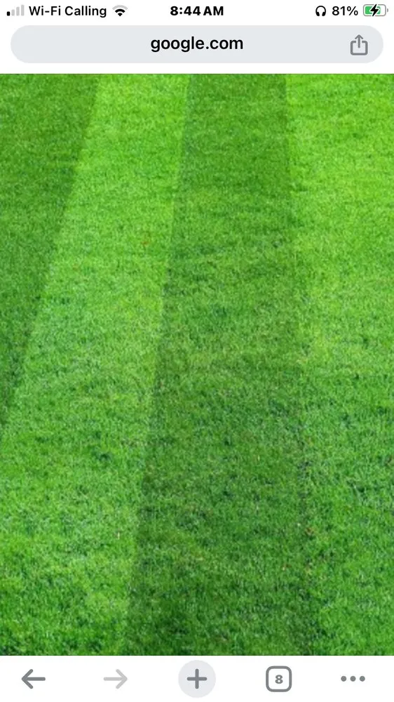 Expert yard maintenance for homes in Timmonsville, SC by Kennedy Landscaping