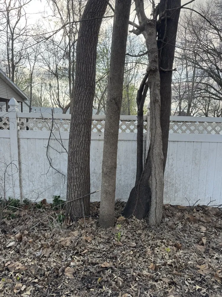 Reliable lawn care service in Sedalia, MO by Kennedy Lawn Care and Landscaping