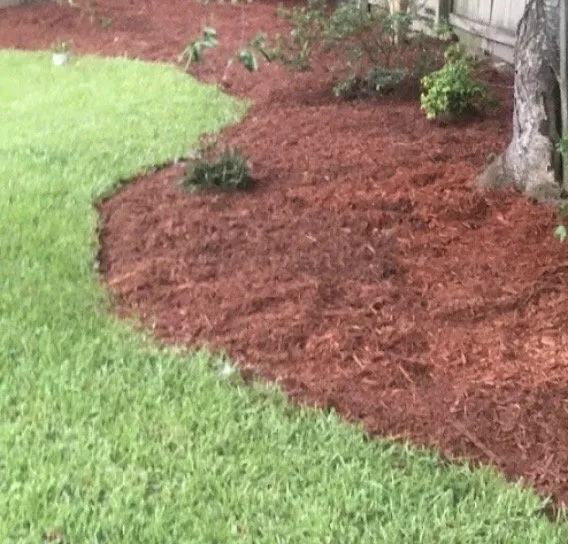 Top-rated lawn care service experts serving Purvis, MS - Kennedy Property Management