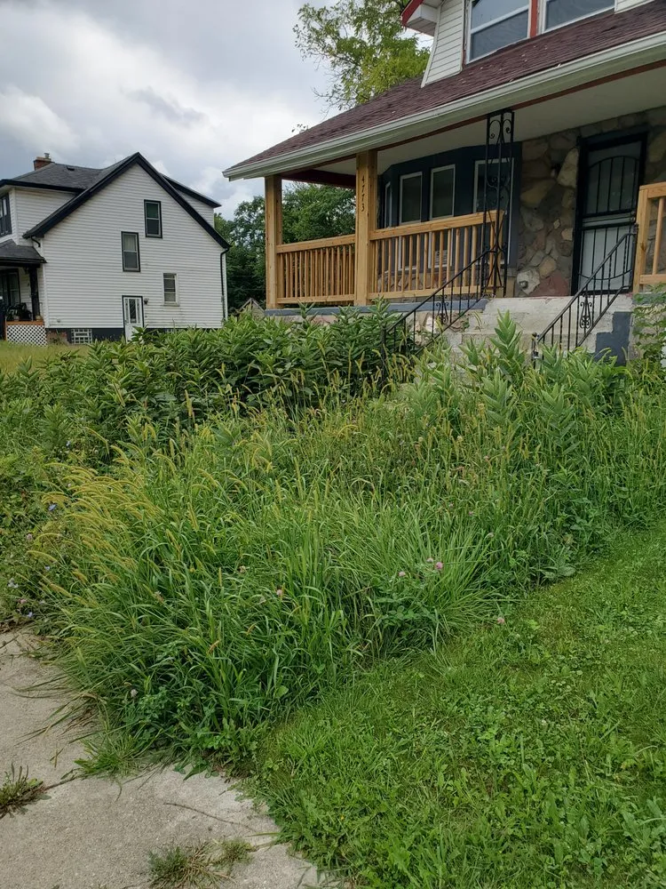 Reliable landscaping services in Detroit, MI by Kennedy's Landscapeing