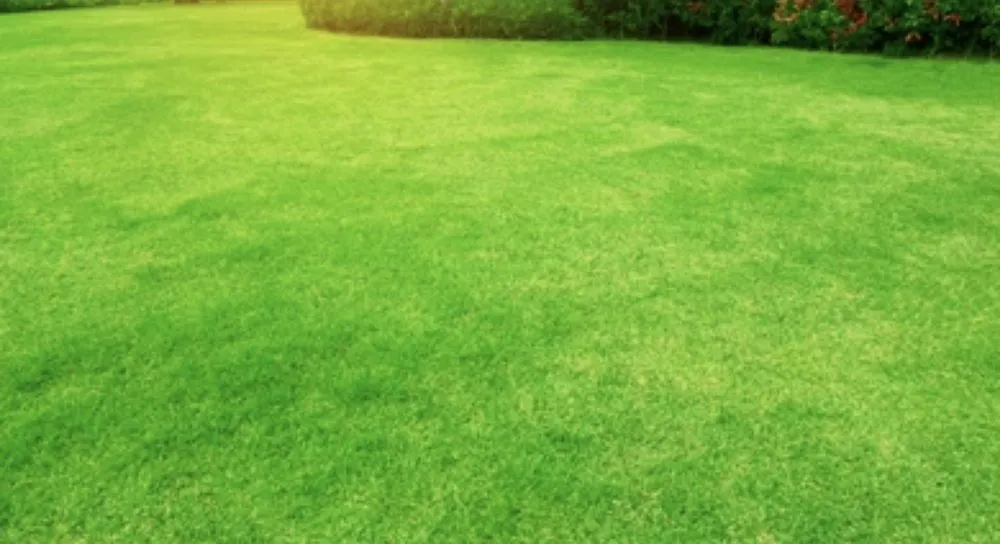 Reliable yard cleanup service experts serving Nokomis, IL - Kennedy’s Lawncare