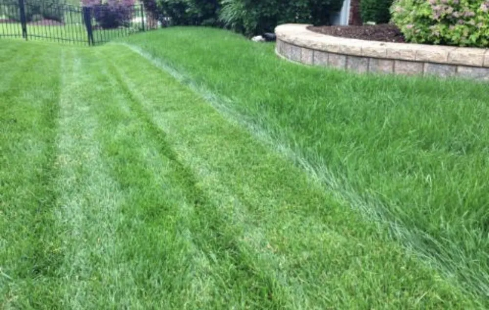 Reliable outdoor landscaping for homes across Nokomis, IL - Kennedy’s Lawncare