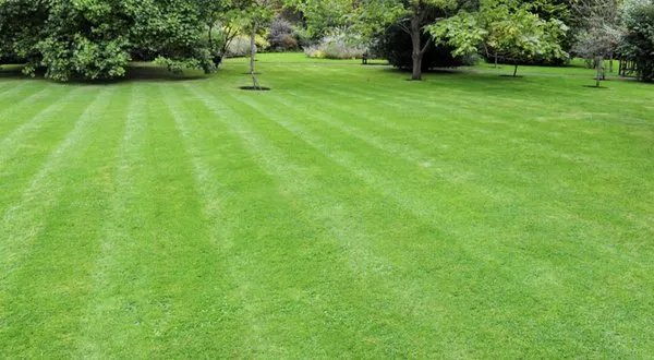 Kennedy’s Lawncare