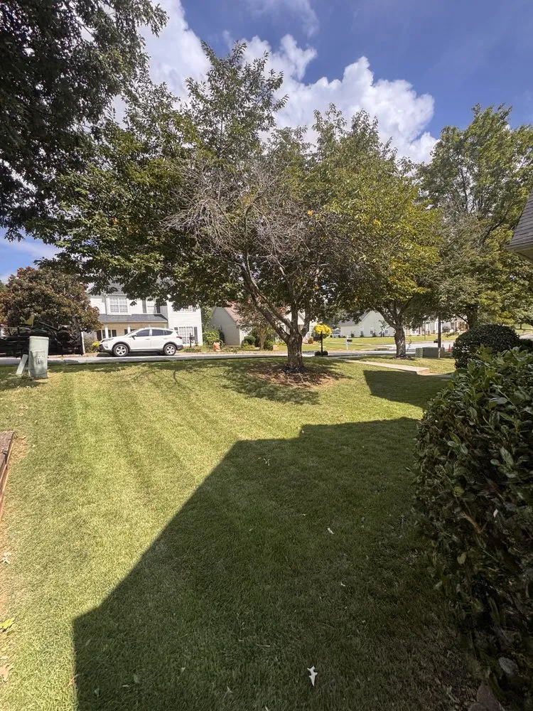 Affordable landscaping services in Newnan, GA by Kennedy’s Pristine Landscaping Services