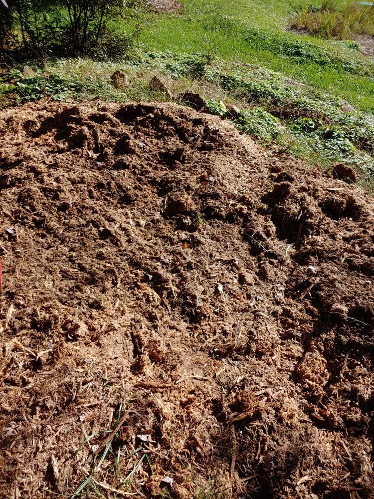 Top-rated lawn care service in Gordonsville, VA by Kenneth All Around Handyman & Lawn care