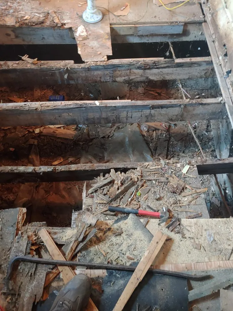 Expert yard cleanup service experts serving Gordonsville, VA - Kenneth All Around Handyman & Lawn care