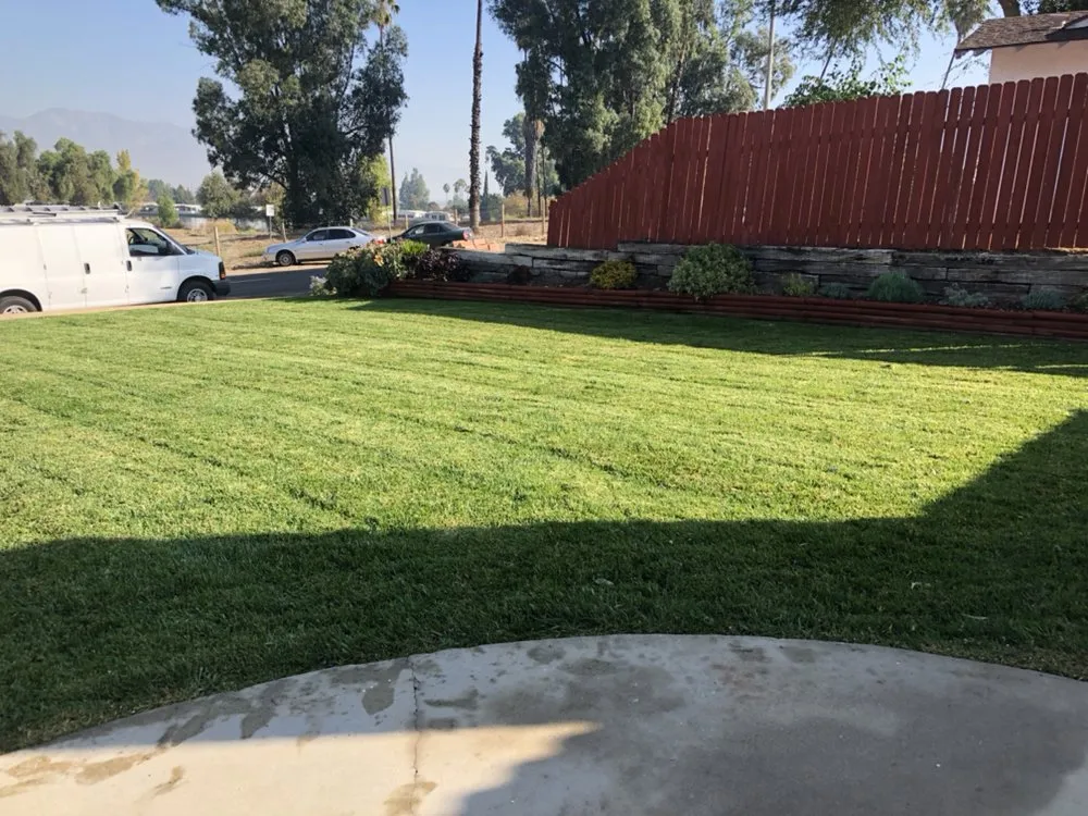 Local yard maintenance in Chino, CA - Kenneth’s Lawn Service