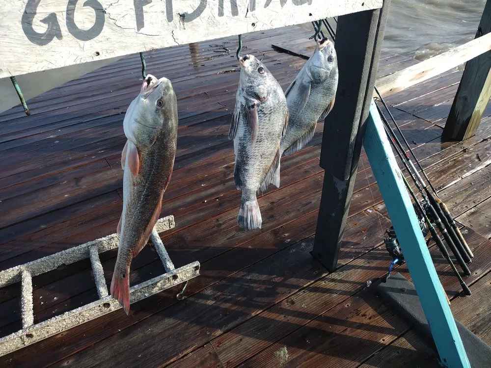 Professional lawn mowing service in Ingleside, TX by Kenneth's Lawn Service