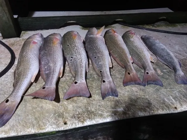 Professional landscape design in Ingleside, TX - Kenneth's Lawn Service