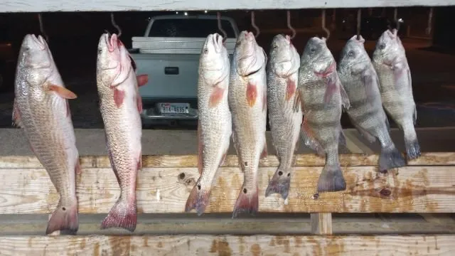 Professional outdoor landscaping in Ingleside, TX - Kenneth's Lawn Service