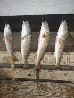 Kenneth's Lawn Service