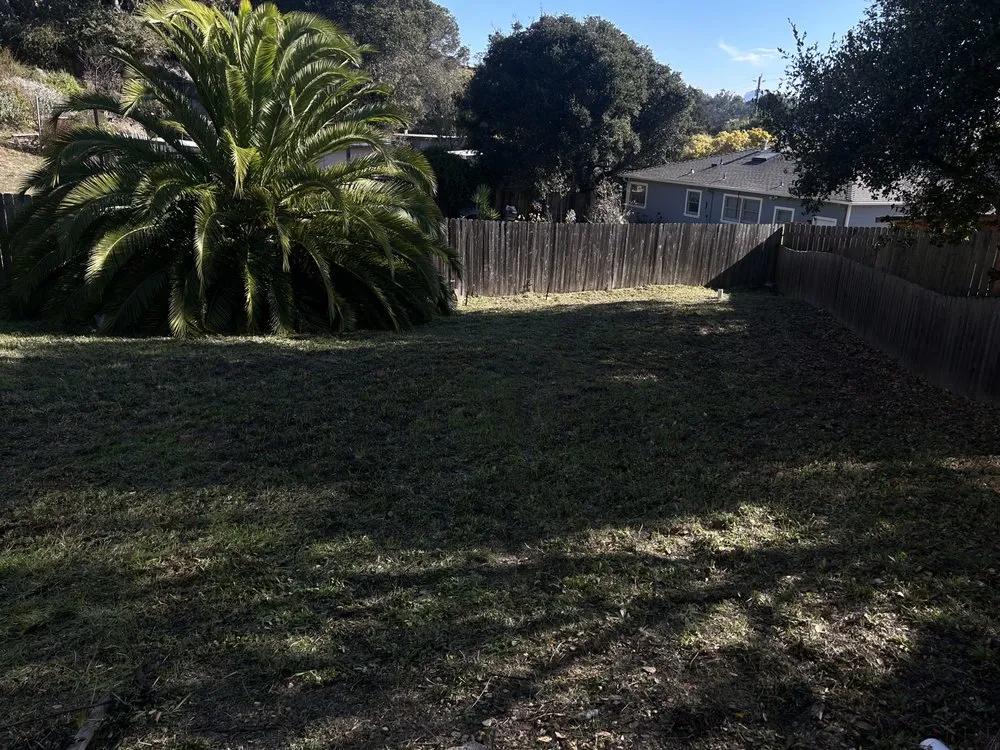 Top-rated landscape installation for year-round maintenance across Richmond, CA - Kenni’s Lawn Care And Junk Removal