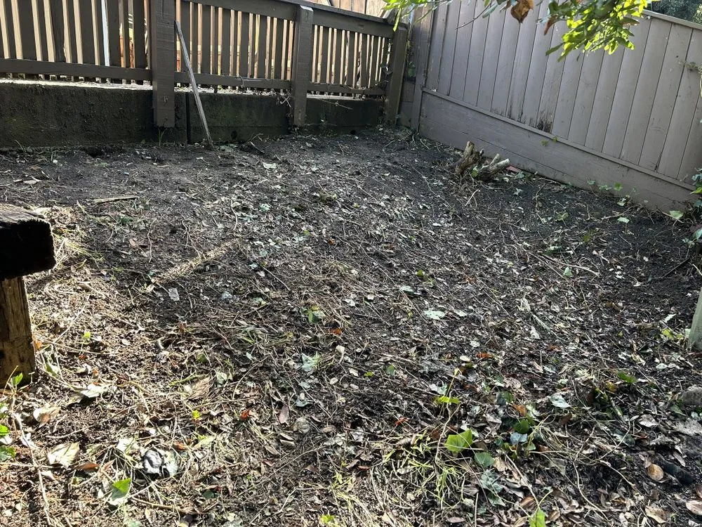 Affordable yard maintenance for homes across Richmond, CA - Kenni’s Lawn Care And Junk Removal