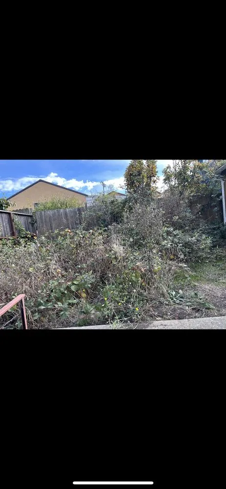 Trusted garden landscaping in Richmond, CA by Kenni’s Lawn Care And Junk Removal