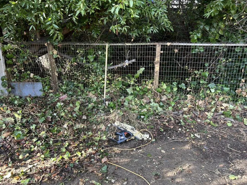 Top-rated residential landscaping in Richmond, CA by Kenni’s Lawn Care And Junk Removal