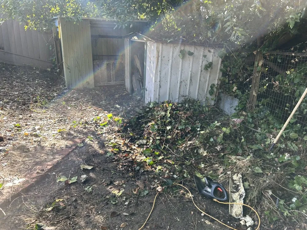 Local yard maintenance in Richmond, CA by Kenni’s Lawn Care And Junk Removal