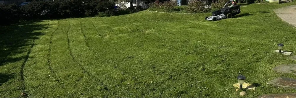 Reliable landscaping services in Richmond, CA by Kenni’s Lawn Care And Junk Removal