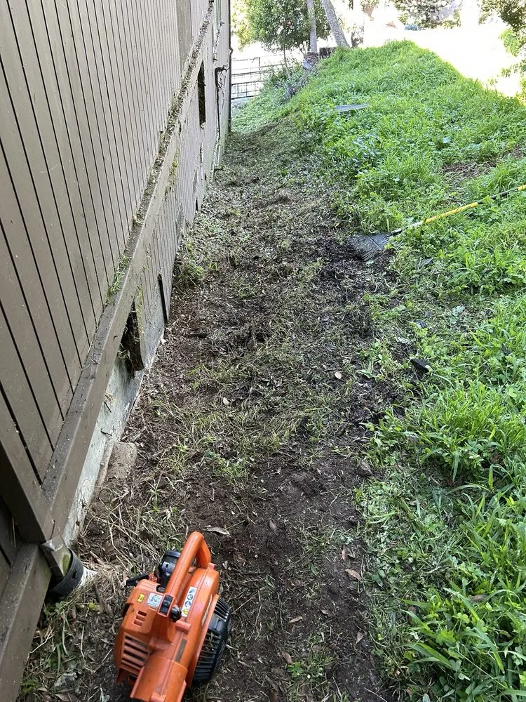 Custom outdoor landscaping for residential properties across Richmond, CA - Kenni’s Lawn Care And Junk Removal