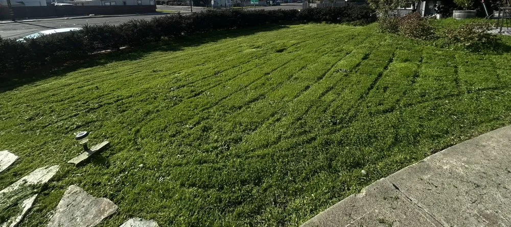 Top-rated lawn care service in Richmond, CA by Kenni’s Lawn Care And Junk Removal