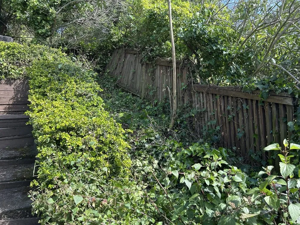 Custom lawn mowing service for year-round maintenance in Richmond, CA by Kenni’s Lawn Care And Junk Removal