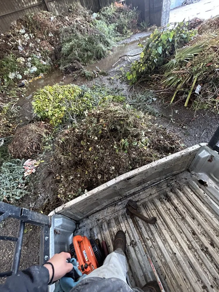 Affordable residential landscaping for homes across Richmond, CA - Kenni’s Lawn Care And Junk Removal