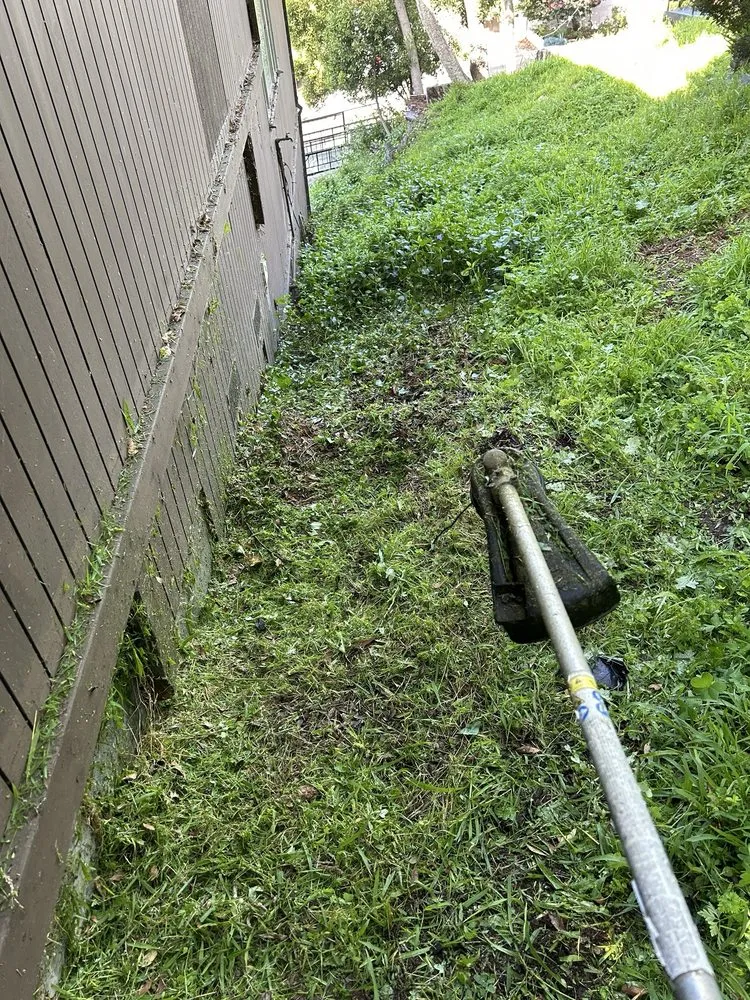 Local yard maintenance in Richmond, CA - Kenni’s Lawn Care And Junk Removal