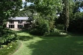 Top-rated yard cleanup service experts serving Orlando, FL - Kenny G The Dumpster King