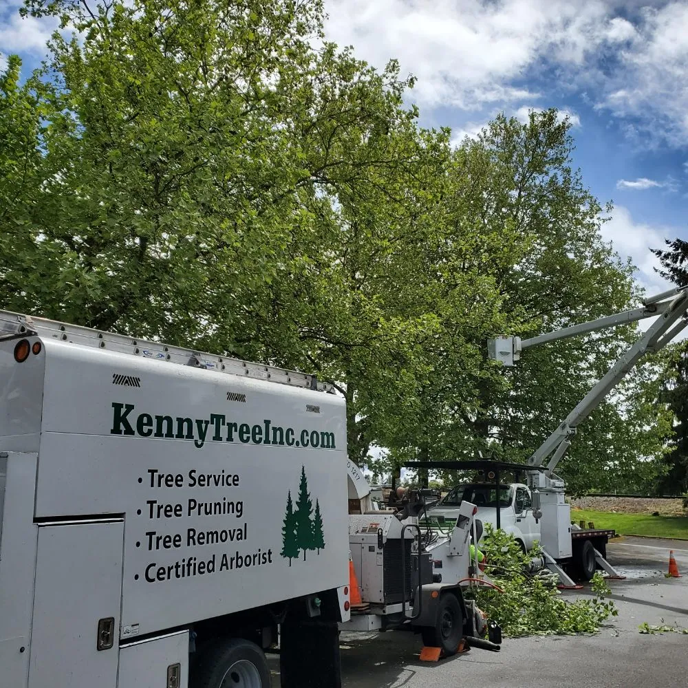 Expert outdoor landscaping for homes in Snohomish, WA by Kenny Tree
