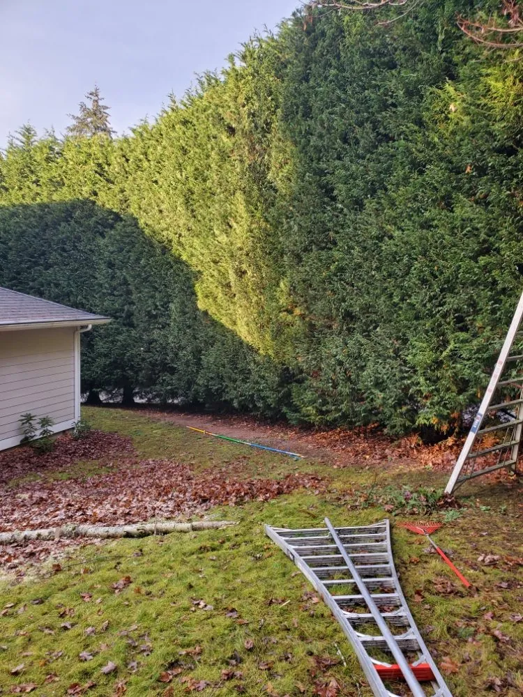 Affordable landscaping services experts serving Snohomish, WA - Kenny Tree