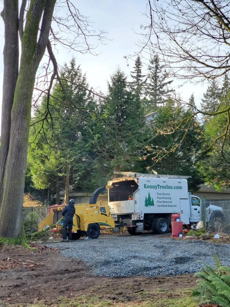 Expert garden landscaping experts serving Snohomish, WA - Kenny Tree