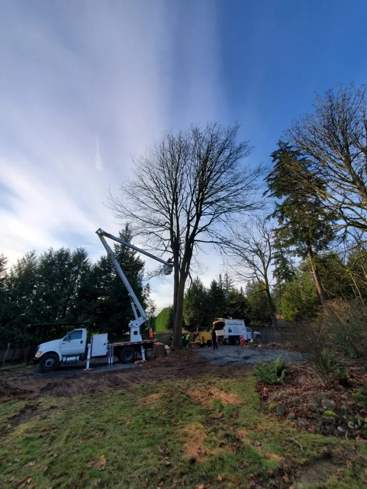 Trusted outdoor landscaping in Snohomish, WA by Kenny Tree