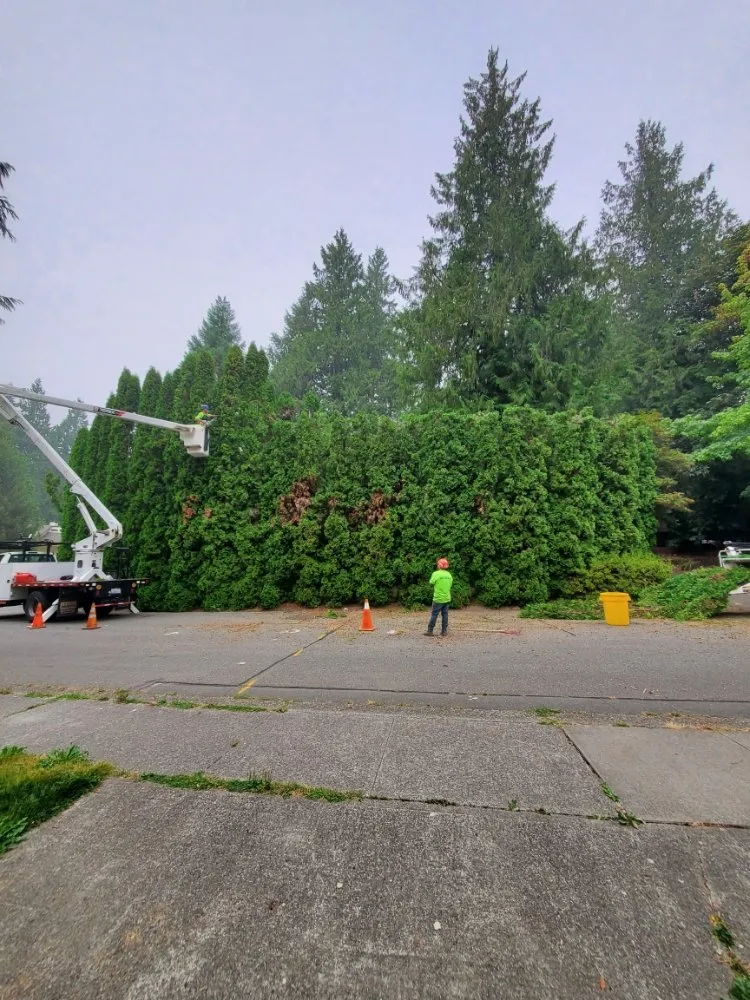 Reliable residential landscaping experts serving Snohomish, WA - Kenny Tree