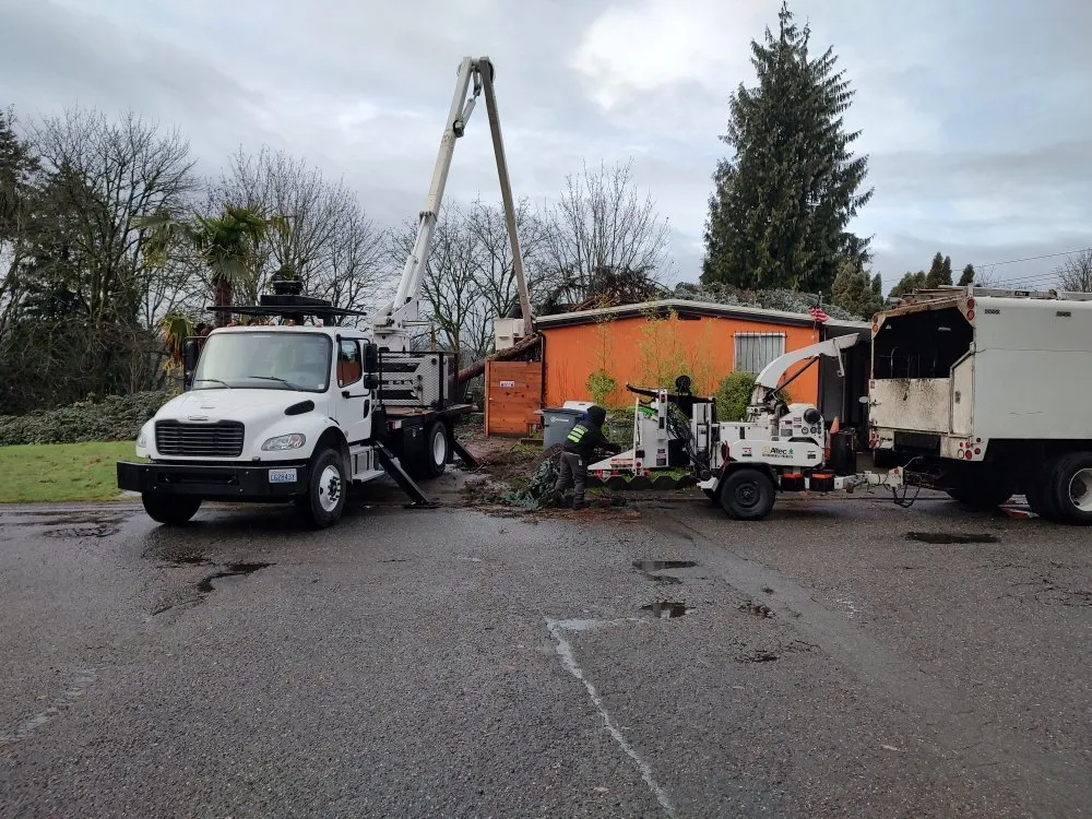 Affordable yard cleanup service in Snohomish, WA - Kenny Tree