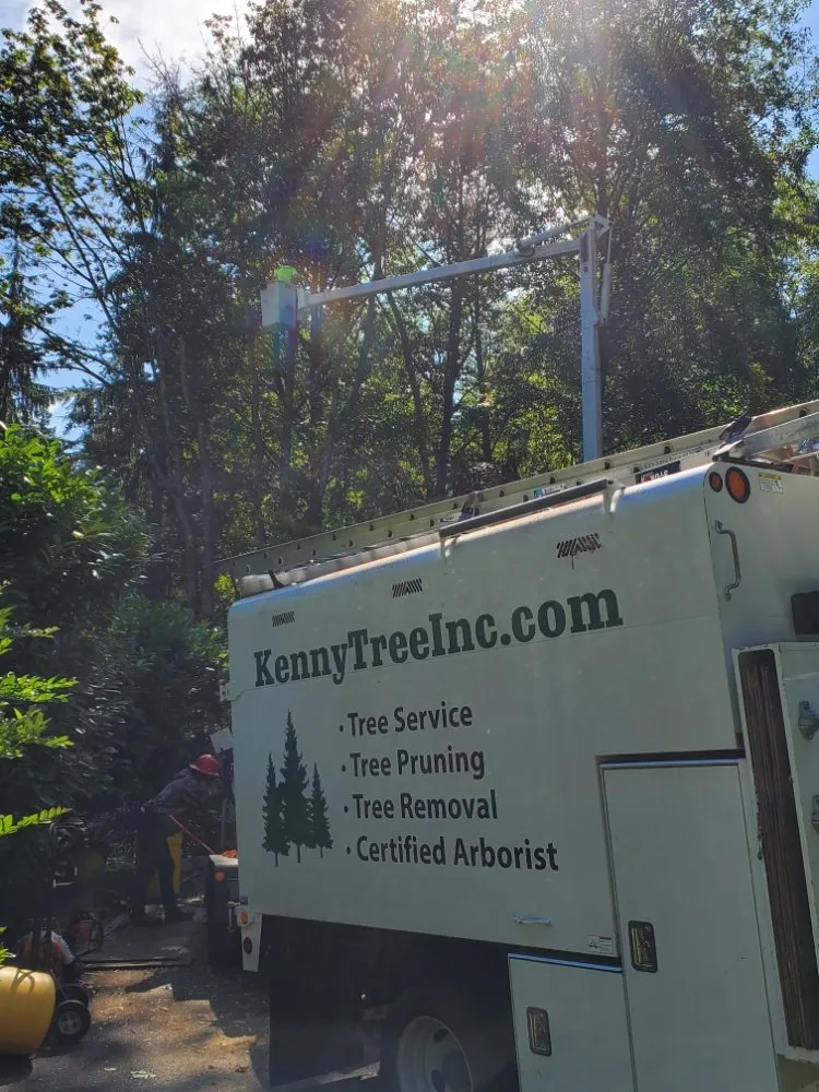 Local yard maintenance near you in Snohomish, WA by Kenny Tree