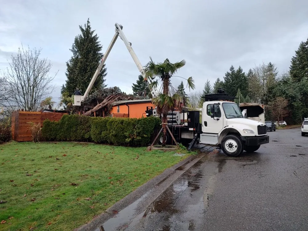 Expert yard cleanup service with custom design in Snohomish, WA by Kenny Tree